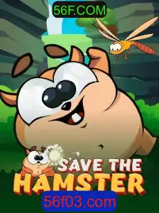 Explorando o Mundo de SavetheHamster: Um Jogo Aventura Inovador